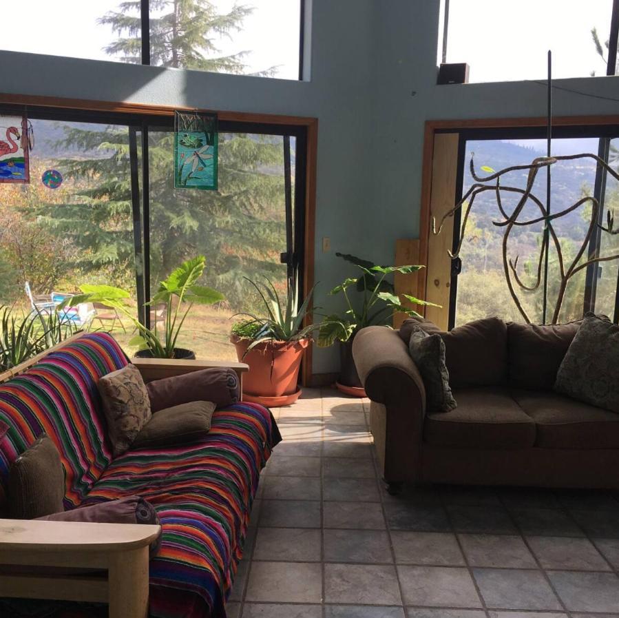 Sequoia Forest Retreat Badger Ngoại thất bức ảnh