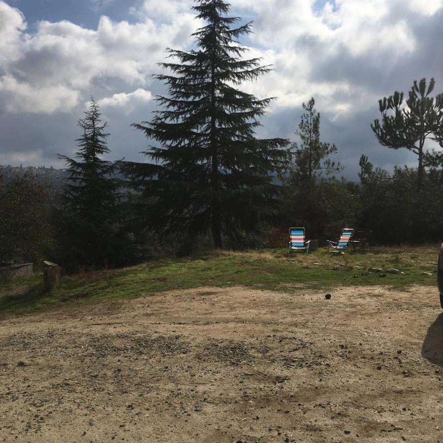 Sequoia Forest Retreat Badger Ngoại thất bức ảnh